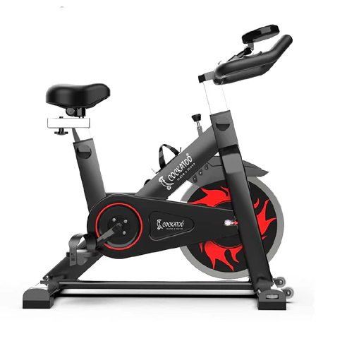 SPIN BIKE BSB730 | 6" LCD monitor | 120 Kg User Weight | 8 Kg Flywheel