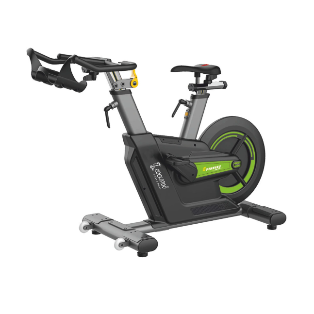 BFS 4200 MAGNETIC SPIN BIKE